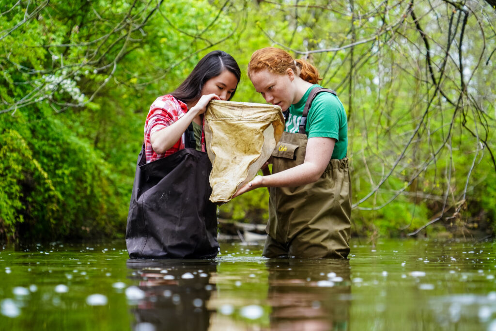 Environmental Biology