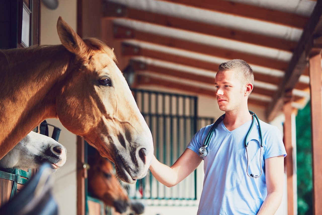 Veterinary medicine farm