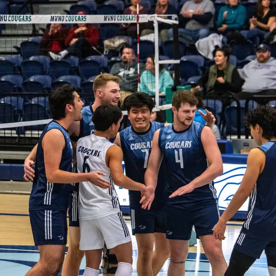 Mens volleyball