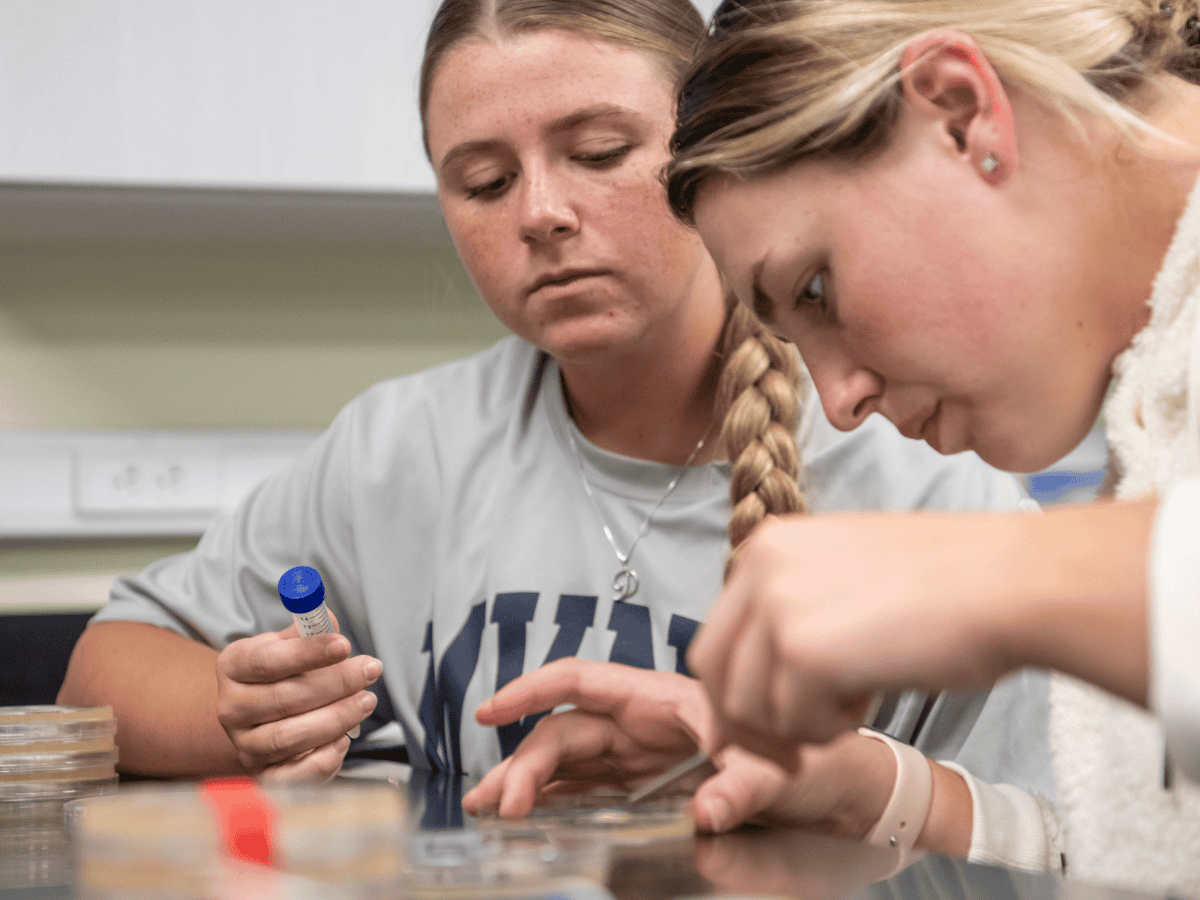 pre-veterinary medicine biology MVNU Mount Vernon Nazarene University