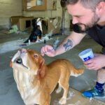 painter