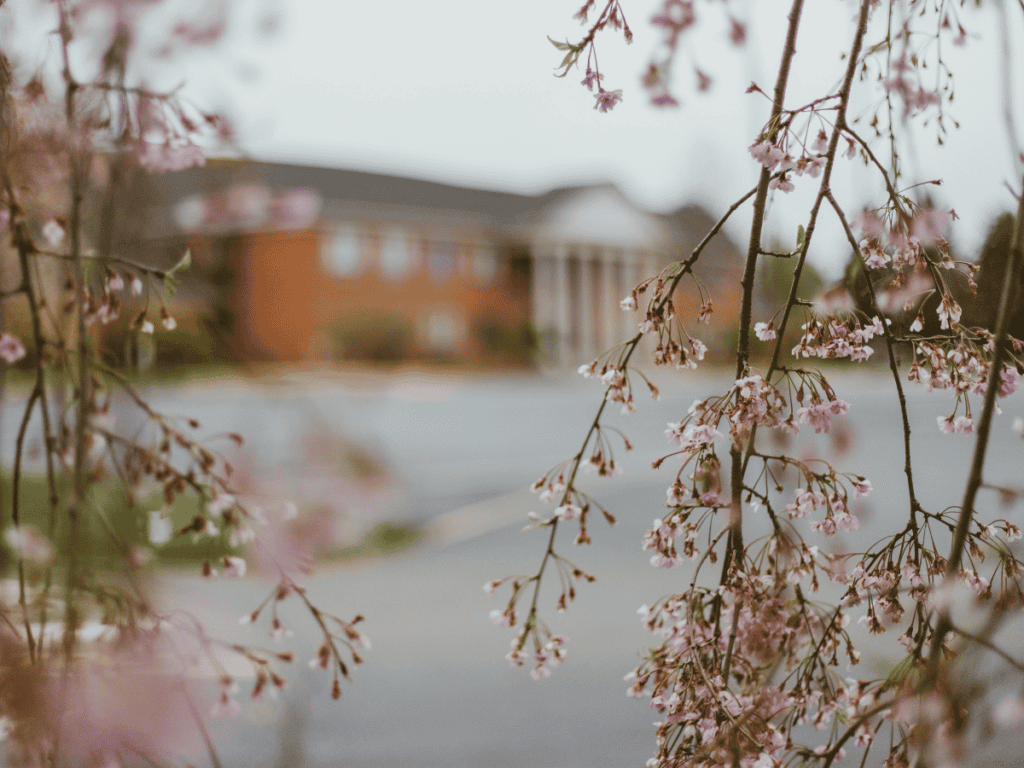 Final exams Mount Vernon Nazarene University MVNU
