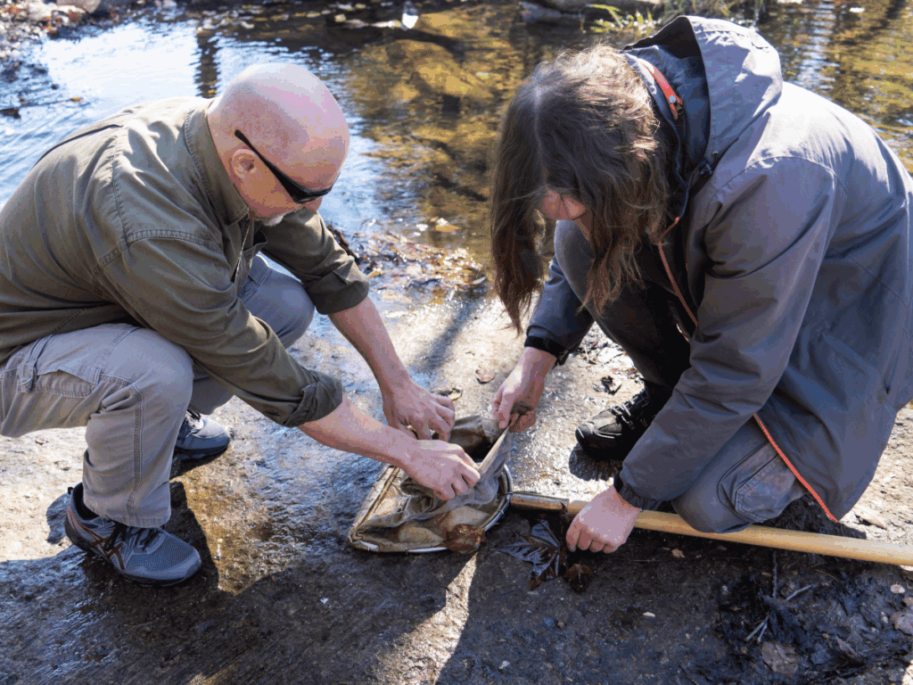 SPUR-mvnu-mount-vernon-nazarene-university
