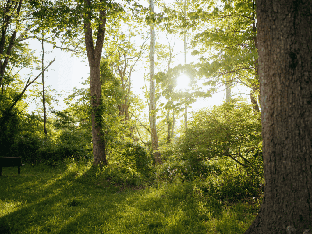 alumni-mvnu-mount-vernon-nazarene-university