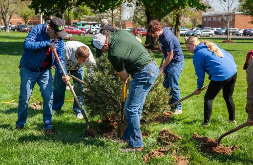 Planting a tree in a community park with volunteers working together.