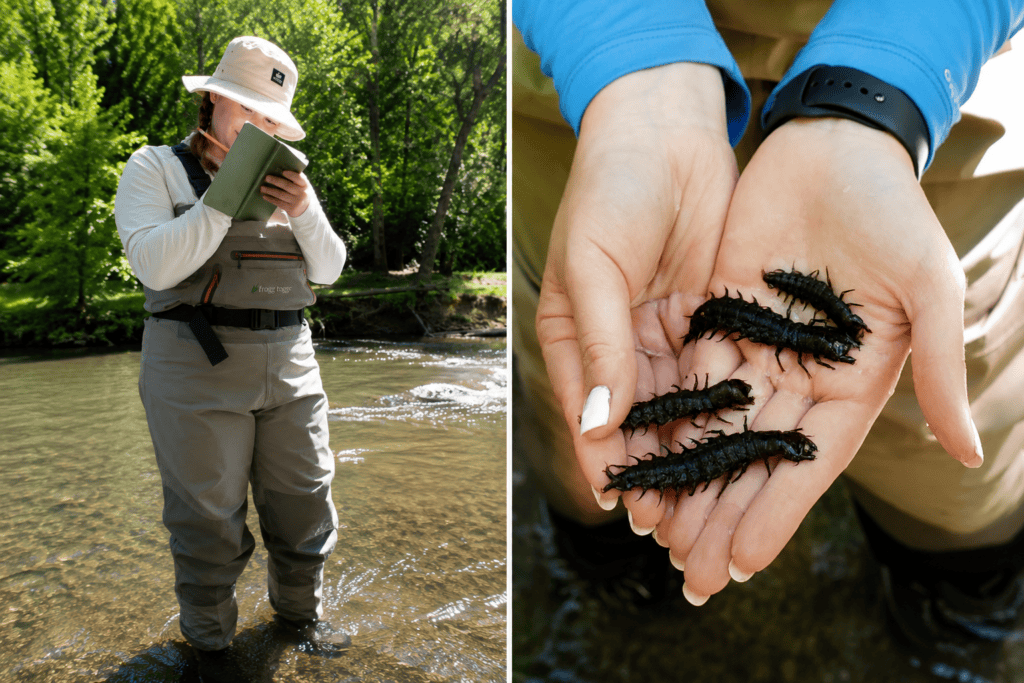 Person holding insects in hand and another person fishing in river.
