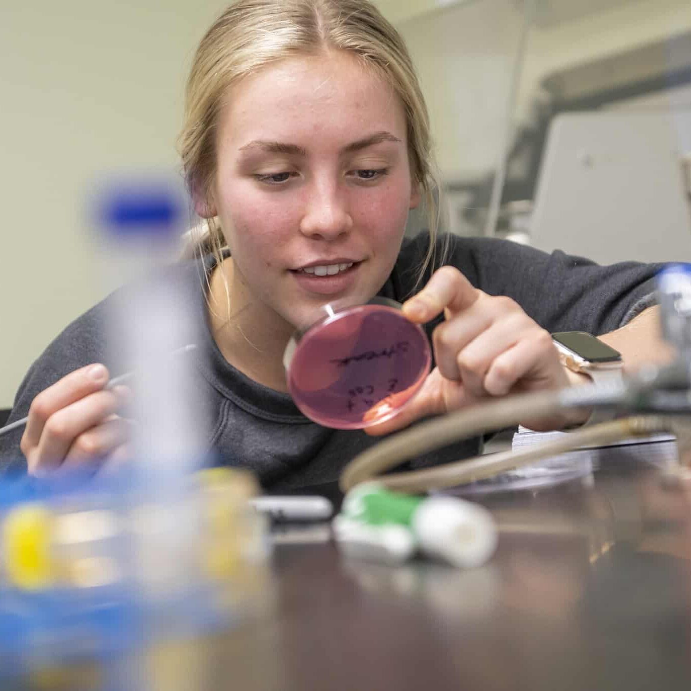 A woman examining a petri dish in a laboratory setting.