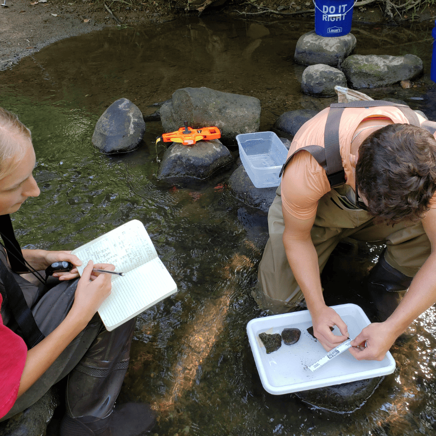 Diverse scientists conducting field research in a stream with scientific tools and equipment.